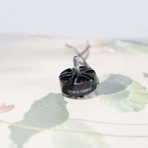 Prosumer 2806.5 1300KV Brushless Motor for FPV RC <b>Drone</b>, 5-6S High Torque Motor for Long Range <b>Quadcopter</b> Frame Kit - Product Image 1