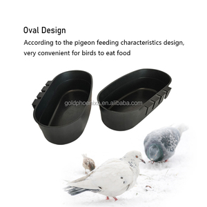 Bebedero y Comedero Redondo de Plástico <span class=keywords><strong>para</strong></span> Aves de Corral, Pollos, Palomas, <span class=keywords><strong>Gallos</strong></span> y Codornices, Venta Caliente YYC - Product Image 5