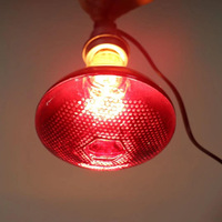 Lampe chauffante infrarouge étanche, ampoule d'élevage pour couveuse, poule, cochon, lampe chauffante infrarouge
