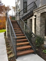 Échelle droite extérieure en acier durable de haute qualité en métal avec un design moderne pour une utilisation en villa