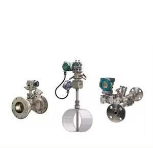 Débitmètre d'eau à section variable personnalisable 100 % original Yokogawa VERIS Accel, excellent prix, OEM VERIS Accel - Product Image 3