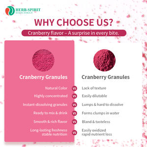 Granulation de canneberge biologique Complément de canneberge 100% concentré naturel Boisson instantanée Jus de fruits en poudre Poudre de canneberge - Product Image 3