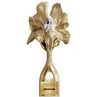 Trophée en métal et cristal haut de gamme, design féerique, finition anodisée, pour récompenses d'entreprise, de sport et de reconnaissance professionnelle