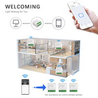 Interrupteur intelligent WiFi EWelink 16A à 2 voies, disjoncteur programmable, compatible Alexa, Google Home, SmartThings, maison intelligente