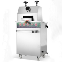 Machine à jus de canne à sucre électrique à vendre