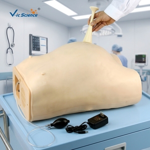 Modelo de Simulación de Embarazo en PVC, Maniquí para Enseñanza Médica, Recurso de Entrenamiento Hospitalario - Product Image 3