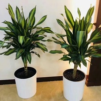 YIZHITANG Pot bunga plastik, tipe Bucket Modern PP 12.5X14 desain tali katun menyerap sendiri untuk taman rumah