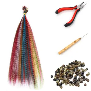SARLA Hair Extensions Kit Synthetic 16 Inch 100 Pcs I-tip Hair Feathers 10 Mixed Colors With Plier HookBeads Heat Friendly Fiber