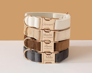 Multiple Colour with Personalized Nameplate, Custom Bow <b>tie</b> Leash/Lead Set, Puppy Collar for Boy and Girl Dog - Product Image 1