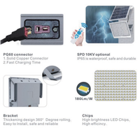 RONSE-Lumière Solaire LED de Qualité Supérieure à Bas Prix, 400W, 50W, 100W, 200W, 300W, 500W, Extérieur, Jardin avec Panneau, Vente en Gros