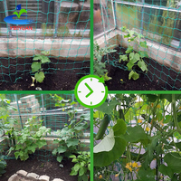 Zware Groene Tuin Trellis Netting Voor Klimplanten Buitenplant Gaas Plastic Voor Komkommers Tomaten Fruit
