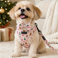 Ensemble de harnais pour chien personnalisé imprimé Noël, respirant, en maille douce, gilet réglable, laisse, collier, nœud papillon, porte-sac à déjections, accessoires