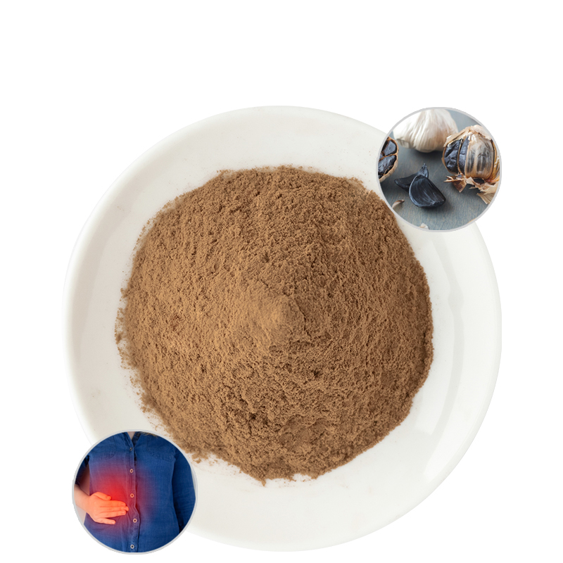 Best Price Black Garlic Extract Powder 10:1