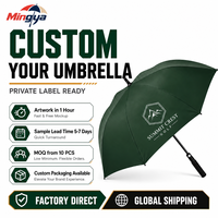 Parapluie de golf 30/32 pouces avec logo personnalisé, poignée EVA, ouverture automatique, résistant au vent 40 mph, tissu pongé 210T, fibre de verre, cadeau sportif