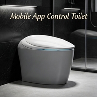 Bidet intelligent pour toilettes domestiques, double canalisation, option sans pression d'eau, lumière nocturne ambiante, buse autonettoyante