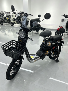 Bicicleta Eléctrica 48V12/20Ah 300W 500W Económica en Venta, Urbana, de Ocio, Bajo Costo, Solar AT0076, Batería de Larga Duración para Recorridos Prolongados - Product Image 3