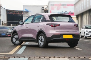 Offerta Speciale 2024 per Star Wish 310km Versione Youth, Auto Elettrica Usata con Motore 150-200kW e Batteria 30-50kWh - Product Image 6
