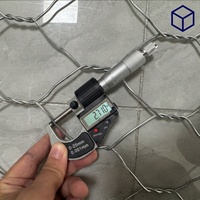 아연-알루미늄-마그네슘 코팅 개비온 메쉬 롤 2x30m 60x80mm 80x100mm 100x120mm 2.0-2.7mm 육각형 직조 강둑 경사면 보호