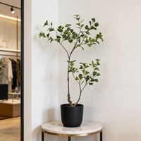 Décoration intérieure la plus populaire : Arbre Ficus en plastique de 90 cm, décoration d'angle pour la maison, le bureau, l'hôtel, plantes artificielles en pot Ficus