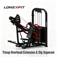 Appareil de musculation des triceps et des biceps (extension et dips) avec siège réglable et sélection de poids, équipement de gym commercial