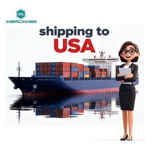 Spedizioniere Marittimo FCL Economico, Agente di Spedizione DDP dalla Cina agli USA - Product Image 1