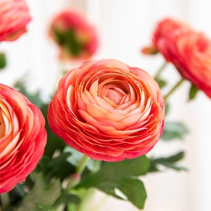 LUYI - Ranúnculos Artificiales de Lujo con Tacto Realista de 50 cm (19.5 Pulgadas), Tallos de Flores de Ranúnculo Blancas de Seda para Bodas - Product Image 5