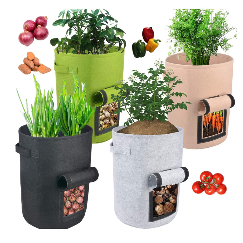 Borsa per la coltivazione di patate vegetali da 10 galloni di alta qualità feltro Grow Pots campione gratuito borsa per la coltivazione di piante da vivaio di patate e pomodori