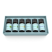 Humidificateur Massage Ensemble de soins de la peau Fournisseur Organique Private Label 100% Pure Aromathérapie Kit d'huiles essentielles
