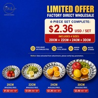 Ensemble de plateaux à fruits en acier inoxydable en forme de pétale, 4 pièces, plateau de service en acier 410 finition miroir pour fruits, bonbons, apéritifs