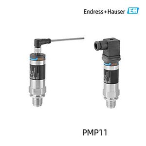 Économique et efficace, E+H Cerabar PMP21/11, jauge en acier inoxydable, IP65, garantie de 2 ans - Product Image 4