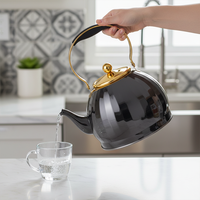 Bouilloire à thé noir en acier inoxydable noir, base multicouche, compatible lave-vaisselle, pour cuisinière à gaz, ustensiles de cuisine arabes et chinois, vente chaude