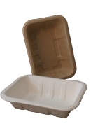 Assiettes carrées jetables écologiques en bagasse de 6 à 10 pouces avec couvercles pour mariage, fête, traiteur, ensemble de vaisselle