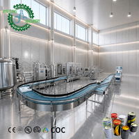 Ligne de remplissage professionnelle de canettes de soda 12000 canettes par heure avec étiquetage par film rétractable pour canettes de boissons en aluminium de 0 à 500 ml