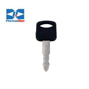 <span class=keywords><strong>Chiave</strong></span> cinese spazi vuoti di sicurezza <span class=keywords><strong>chiave</strong></span> promozionali con <span class=keywords><strong>la</strong></span> testa di plastica porta chiavi personalizzate in bianco - Product Image 4