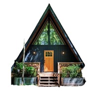 Structure de maison préfabriquée triangulaire en bois, cabane moderne écologique à énergie solaire, idéale pour appartement, hall, jardin, cour arrière ou vacances