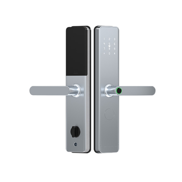 TTLock Silvery for Smart Lock-Biometric Fingerprint NFC Cloud Storage Grade C Security Front Door Outdoor Home Security Door