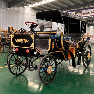 Carroza de Lujo de Dos Filas de Asientos para Paseos Turísticos, Carroza Histórica Real Eléctrica para Bodas, Carroza Turística - Product Image 5