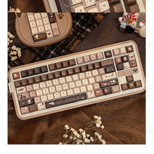 <strong>Books</strong> and Passing Time Keycaps 137 Keys Cherry Profile PBT Dye Sublimation Keycaps for 61/64/68 Mx <strong>Switch</strong> Mechanical Keyboard - Product Image 5