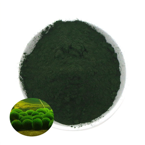 Hoogproteïne voedingsmiddelkwaliteit Chlorella <span class=keywords><strong>Vulgaris</strong></span> poederextract, biologische groene algen in trommel-/flesverpakking - Product Image 1