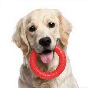 Anneaux en caoutchouc pour animaux de compagnie, vente chaude, pour chiens de taille moyenne et grande, Golden Retriever, résistants à l'usure et aux morsures - Product Image 2