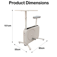 Bicicleta de Ejercicio con Escritorio, Equipo de Fitness con Resistencia Magnética, Precio de Fábrica, para Entrenamiento Diario en Casa u Oficina
