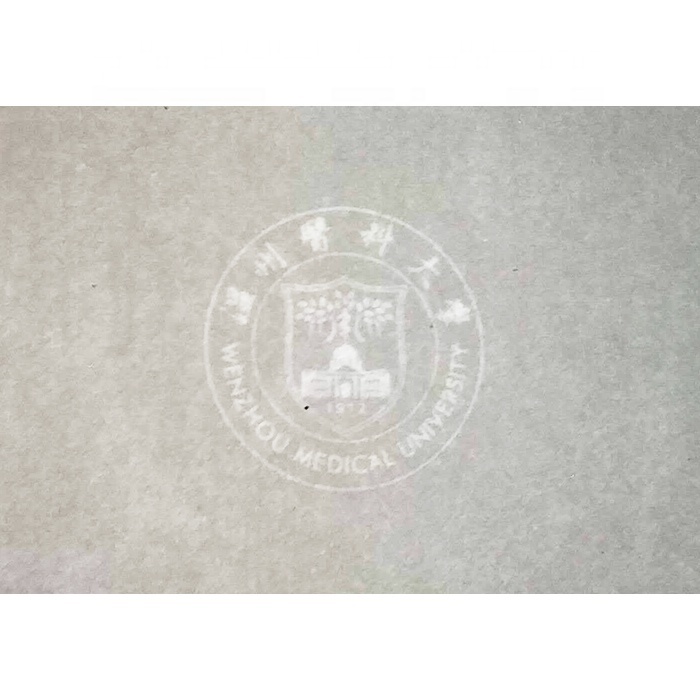 Security Certificate Printing Paper Made In China
