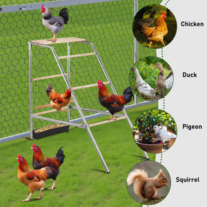 Juego de actividades personalizable para <span class=keywords><strong>gallinas</strong></span> con columpios, perchas y escalera para <span class=keywords><strong>gallinas</strong></span>, ideal para gallineros con columpio. - Product Image 4