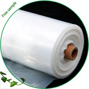 Uv Blocking Clear 6mil 200 Micron Poly Film Plastic Greenhouses Covering For Sale