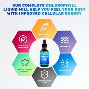 Chlorophylle liquide OEM/ODM 6000mg 59ml saveur menthe poivrée, complément alimentaire entièrement naturel - Product Image 3