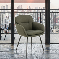 Fauteuil de salle à manger moderne en métal vert pour bureau à domicile et mobilier d'hôtel pour appartement