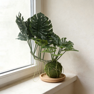 <span class=keywords><strong>Plante</strong></span> suspendue artificielle Monstera en boule de mousse, <span class=keywords><strong>grande</strong></span> <span class=keywords><strong>plante</strong></span> tropicale Monstera suspendue <span class=keywords><strong>pour</strong></span> plafond, fenêtre, <span class=keywords><strong>bureau</strong></span>, décoration de la maison - Product Image 2