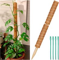 Poteaux de soutien flexibles en fibre de coco et fil d'aluminium pour plantes grimpantes – Fournitures de jardin en gros