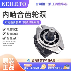 Pompe à engrenages interne Keileto EIPC3 020 25 32 40 50 64 RA23 10 Hydraulique Haute Pression Stable Faible Pulsation Fonctionnement Silencieux - Product Image 5