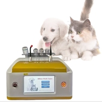 Classe IV vétérinaire Diode Laser 980 vétérinaire soulagement de la douleur Pet Physio réadaptation vétérinaire Laser thérapie équipement